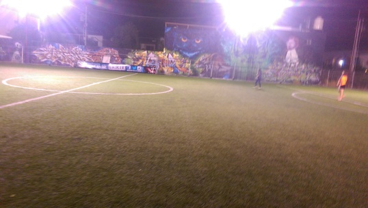 futbol_field_1.jpg